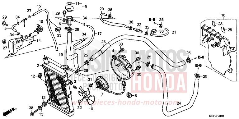 RADIATOR (FJS400D9/FJS400A) for SW-T400 ABS SWORD SILVER METALLIC (NHA95) from 2009